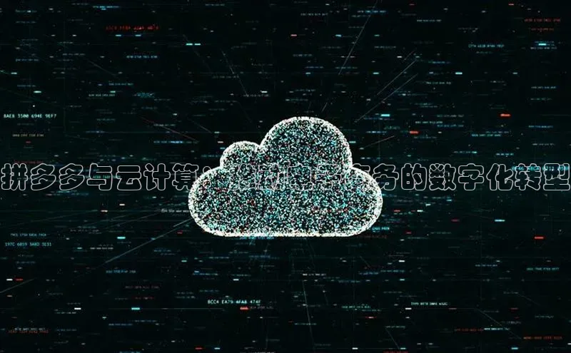 杏鑫注册登录代理中海达拼多多与云计算：推动电子商务的数字化转型