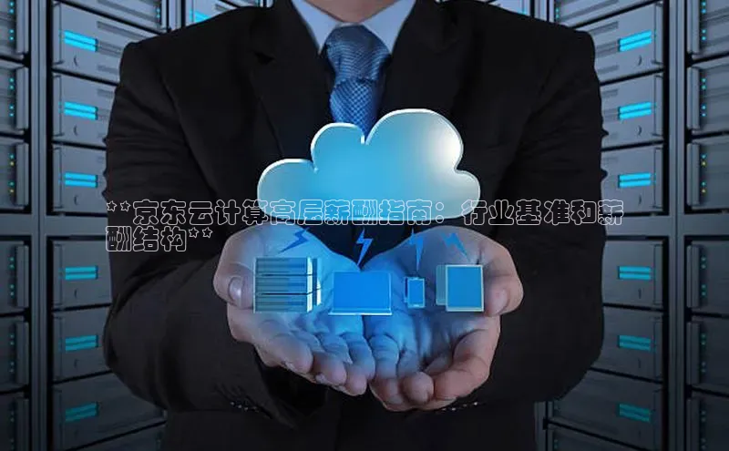 杏鑫平台开户宇信科技**京东云计算高层薪酬指南：行业基准和薪
酬结构**