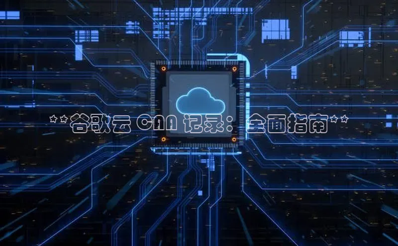 杏鑫平台注册官网百度网盘**谷歌云 CAA 记录：全面指南**