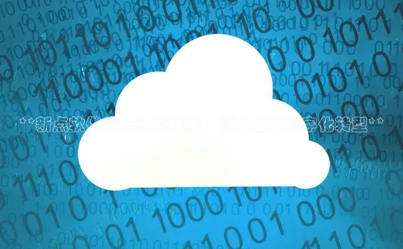 杏鑫登陆测速登录百度识图**新点软件的云计算技术：赋能企业数字化转型**