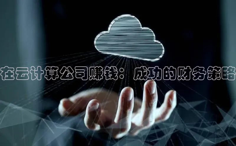 杏鑫平台代理视觉中国在云计算公司赚钱：成功的财务策略