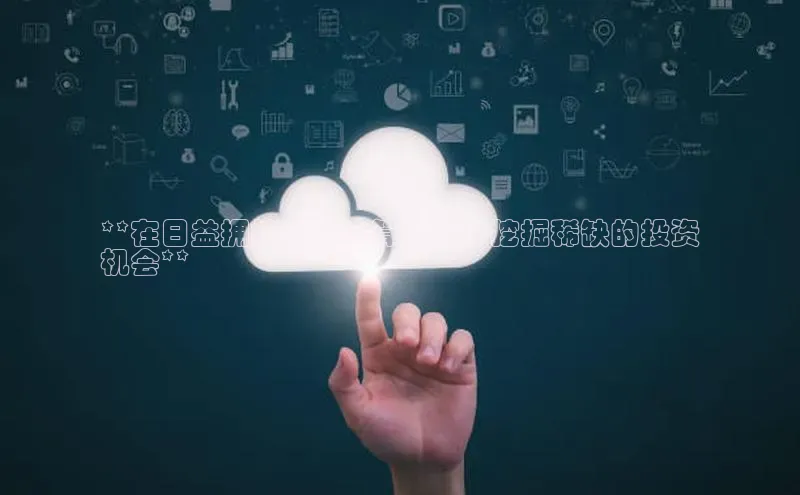 杏鑫平台登录地址极氪智能科技**在日益拥挤的云计算市场中挖掘稀缺的投资
机会**