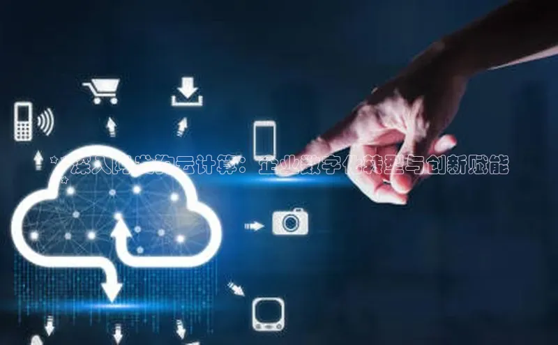 杏鑫平台注册入口哇咔哇咔文化**深入阿发狗云计算：企业数字化转型与创新赋能
**