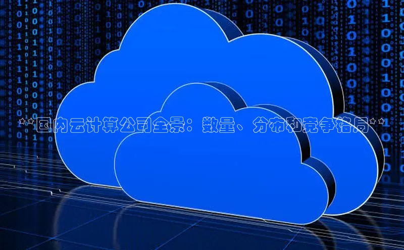 杏鑫注册登录地址文心一言**国内云计算公司全景：数量、分布和竞争格局**