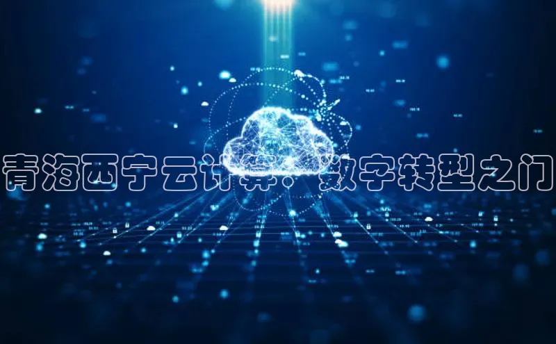杏鑫彩票官网登录百度学术青海西宁云计算：数字转型之门