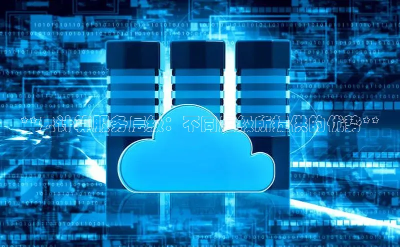 杏鑫登陆测速登录百度识图**云计算服务层级：不同层级所提供的优势**