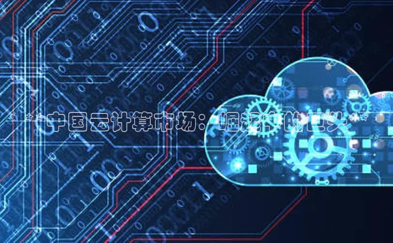 杏鑫平台注册官网知乎**中国云计算市场：崛起中的巨头**