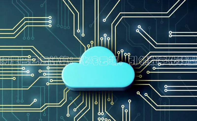 杏鑫彩票官网登录京东阿里巴巴云计算：叱咤云端，引领数字化转型