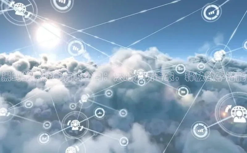 杏鑫彩票官网登录百度学术黑蚂蚁云计算有限公司：您的云端专家，释放数字潜能