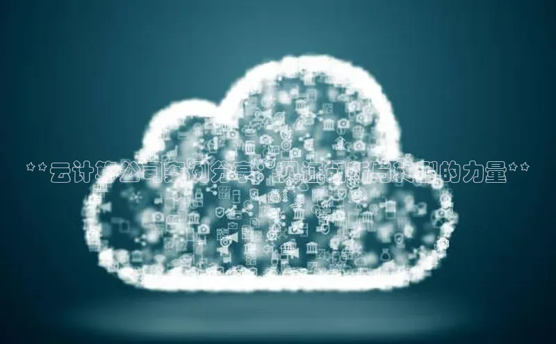 杏鑫平台登录地址网易**云计算公司案例分享：见证创新与转型的力量**