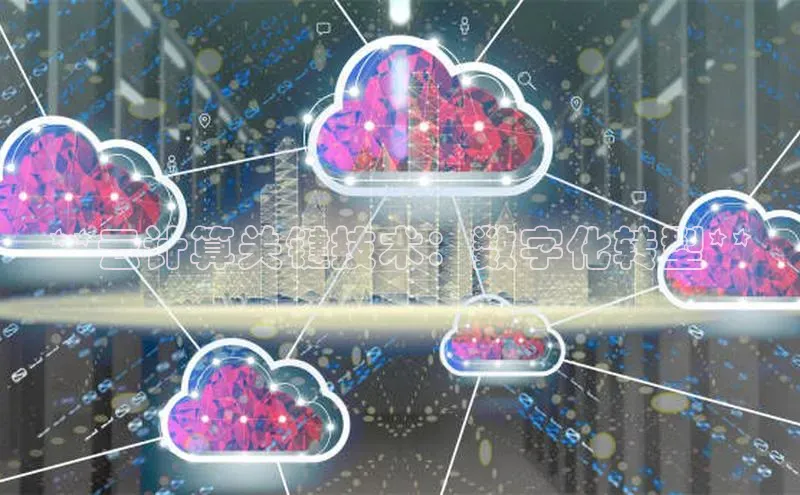 杏鑫登录测速百度社团赞助平台**云计算关键技术：数字化转型**