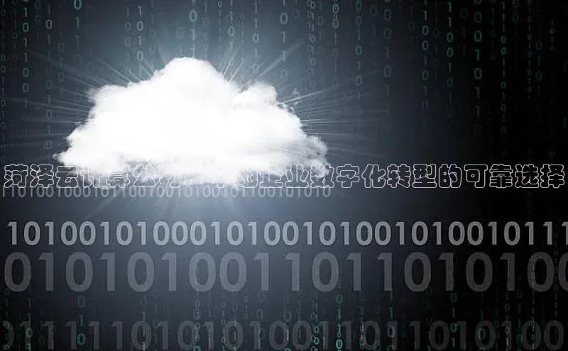 杏鑫平台线路测速赛富乐斯菏泽云计算公司：本地企业数字化转型的可靠选择