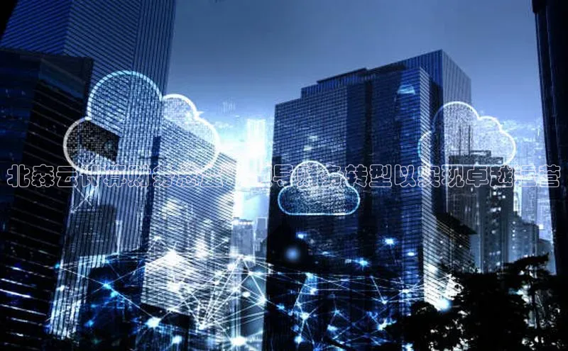 杏鑫彩票官网app百度大脑北森云计算财务总监：领导财务转型以实现卓越运营