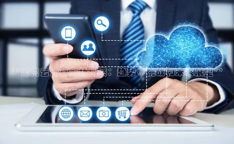 杏鑫注册登录地址同程**国内云计算市场洞察：趋势、挑战和未来展望**