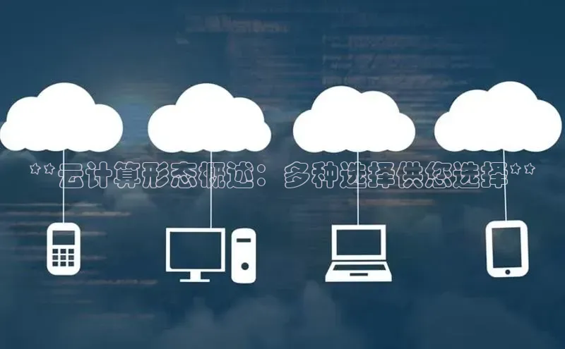 杏鑫平台注册登录百度网盘企业版**云计算形态概述：多种选择供您选择**