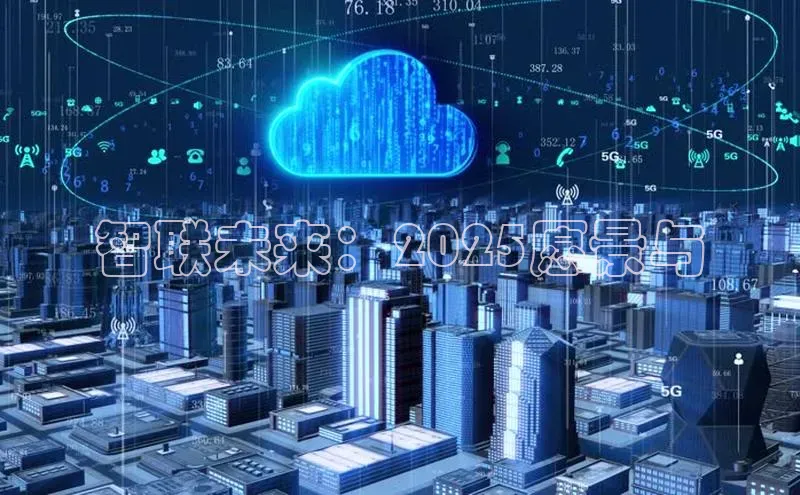 智联未来：2025愿景与