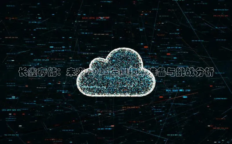 长鑫存储：未来-2025年AI技术准备与挑战分析